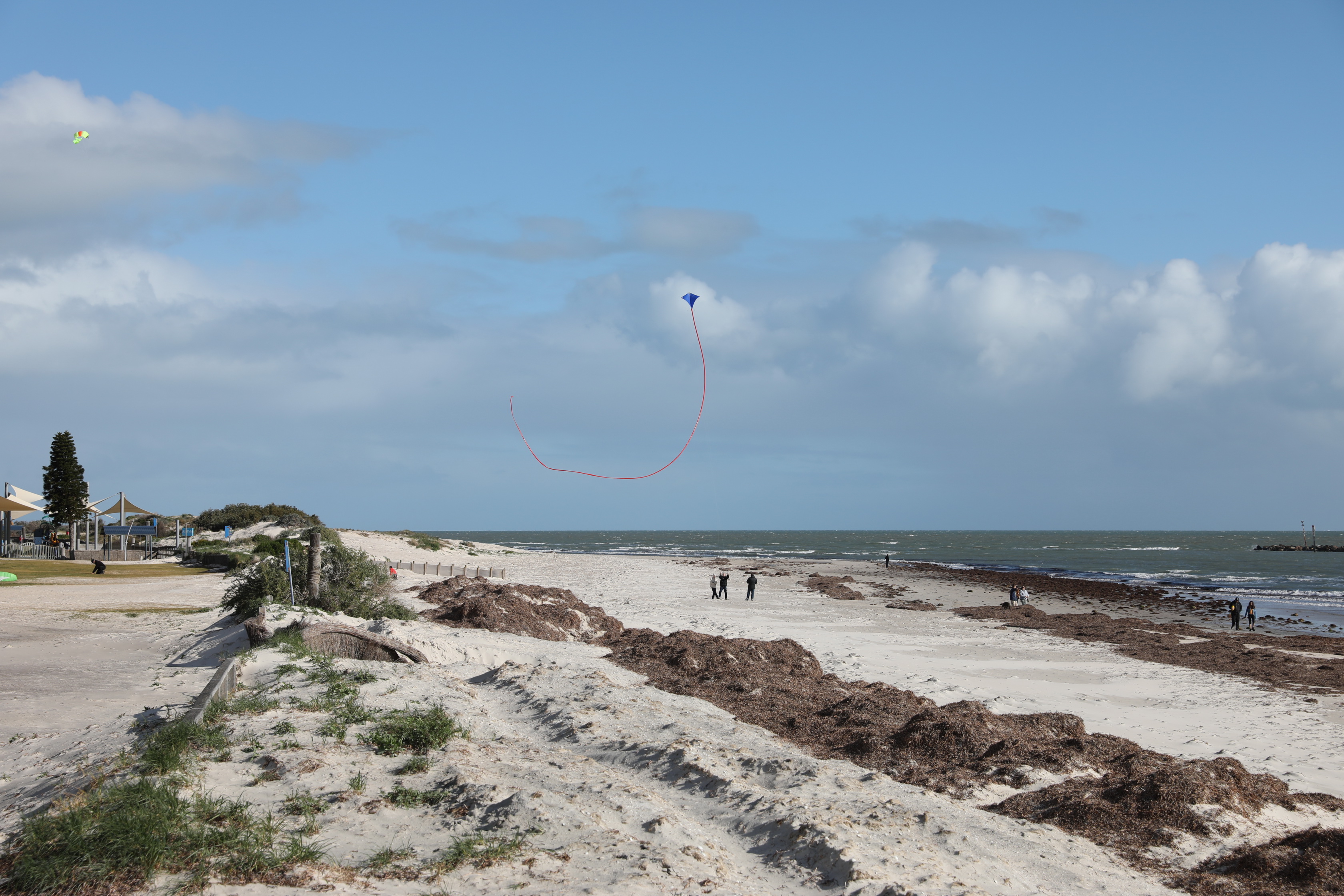 2019 08 11 15 08 36 Canon EOS 5D Mark IV 0011